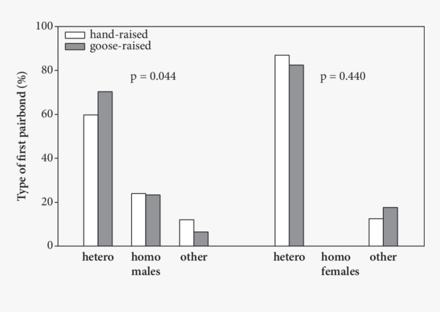 Diagram, HD Png Download