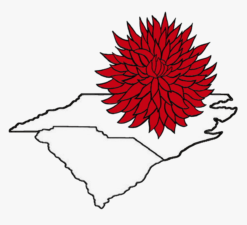 Carolinas Dahlia Society - Floral Design, HD Png Download