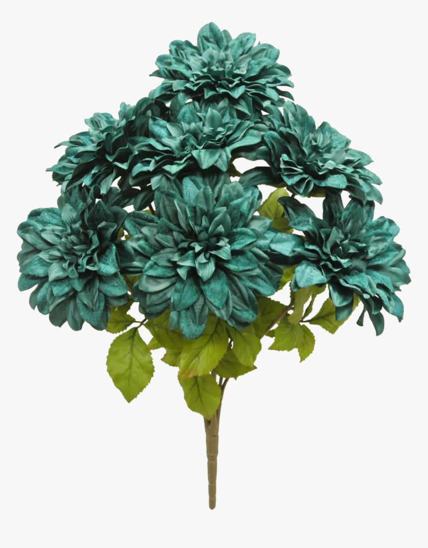 21 - Chrysanths, HD Png Download