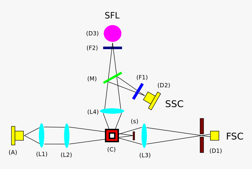 Esquema Citometría De Flujo, HD Png Download