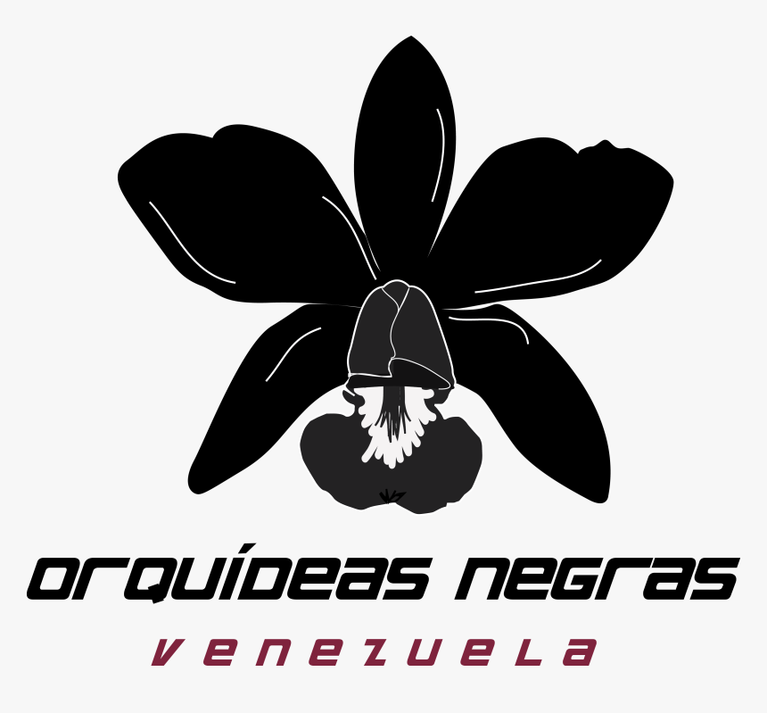 Orquídeas Negras Rugby Foundation - Orquideas Negras Venezuela, HD Png Download