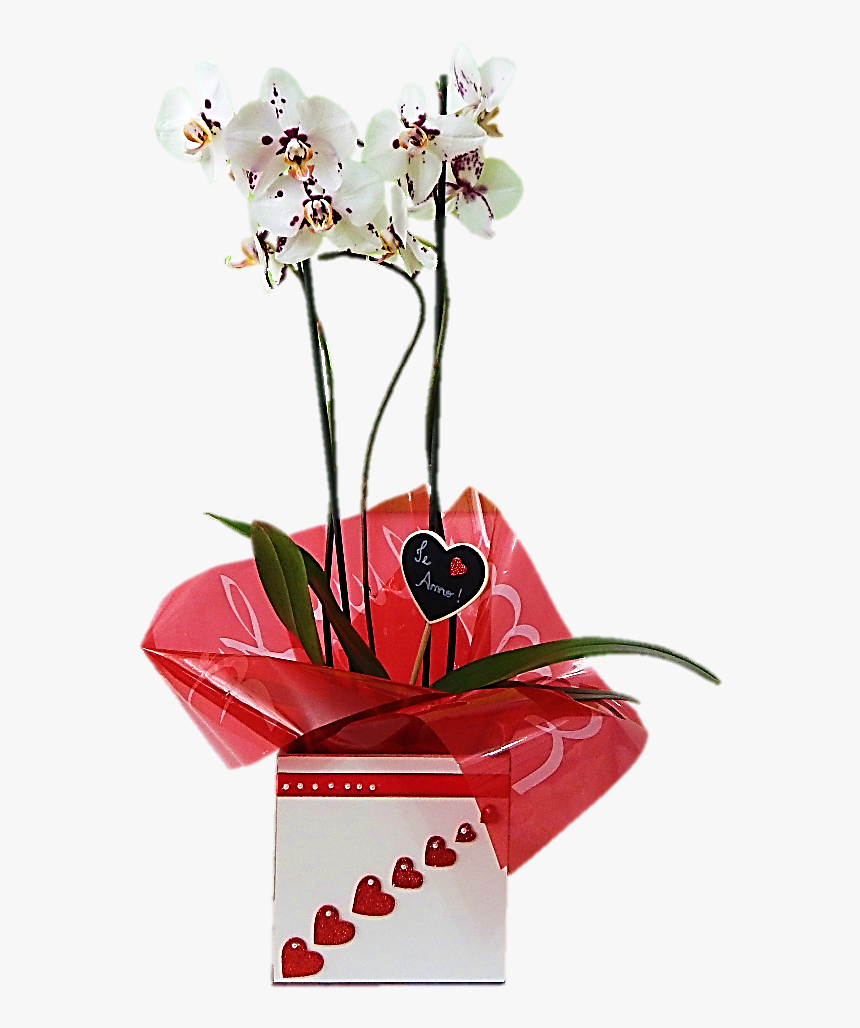 Transparent Orquideas Png - Phalaenopsis Sanderiana, Png Download