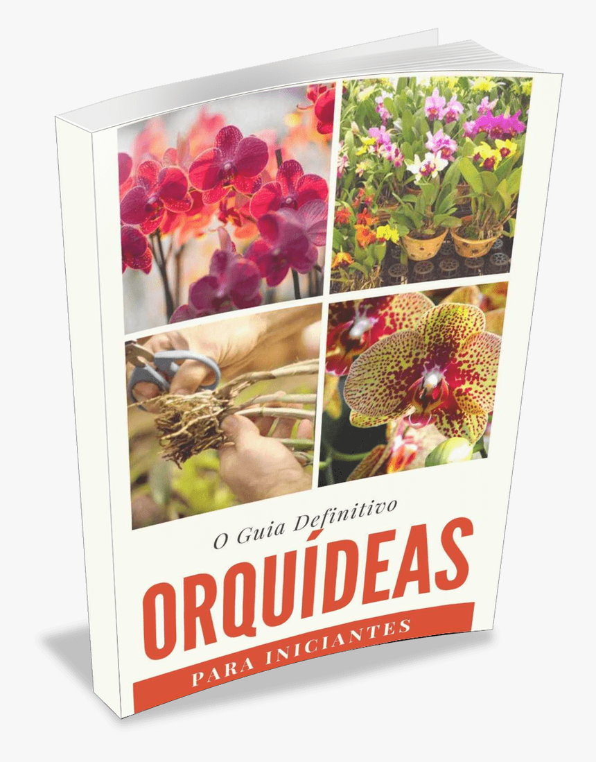 Orquideas Png, Transparent Png