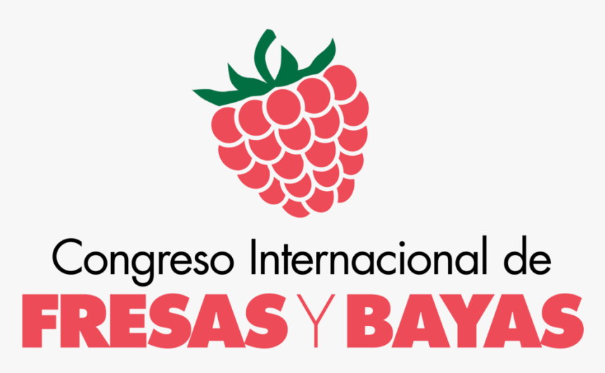 1er Congreso Internacional De Bayas Y Fresas - Anadolu Hayat Emeklilik A.s, HD Png Download