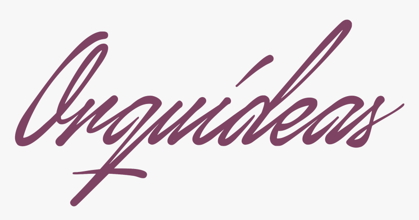 Floristeria Orquideas Bonao - Calligraphy, HD Png Download