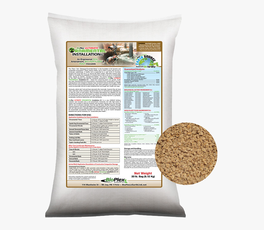 Throw Pillow, HD Png Download