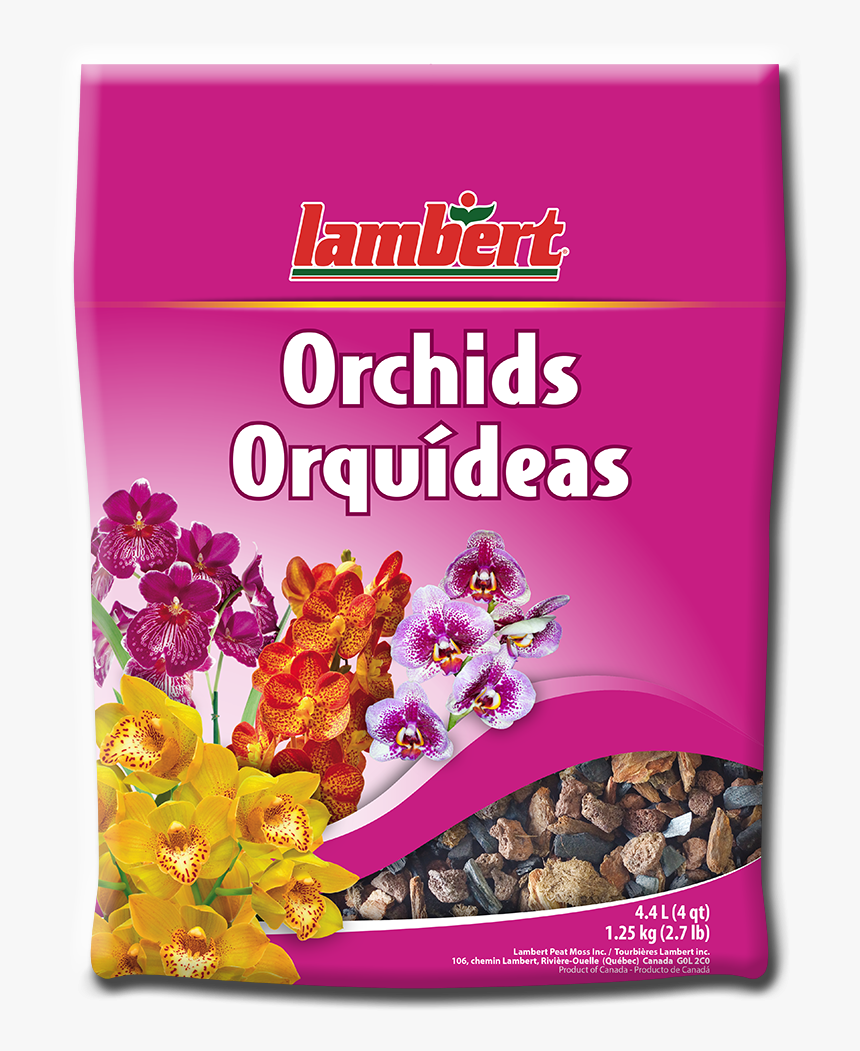 Breakfast Cereal, HD Png Download