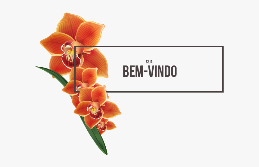 Orchids Of The Philippines, HD Png Download