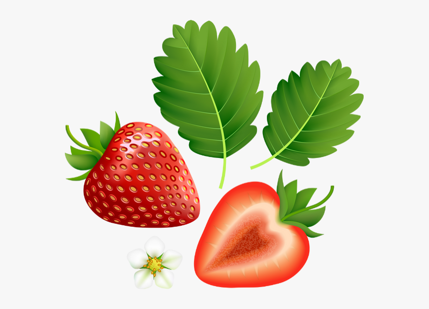 Imagenes De Fresas Png - Transparent Background Strawberry Clipart, Png Download
