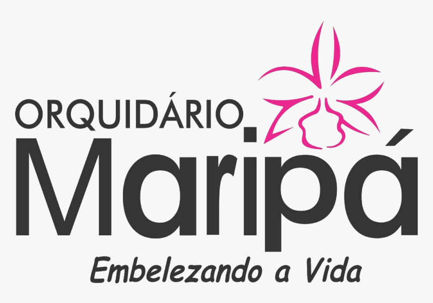 Fazer Hoje, HD Png Download