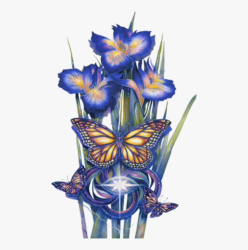 Orquideas Azuis - Jody Bergsma Bears Coloring Page, HD Png Download