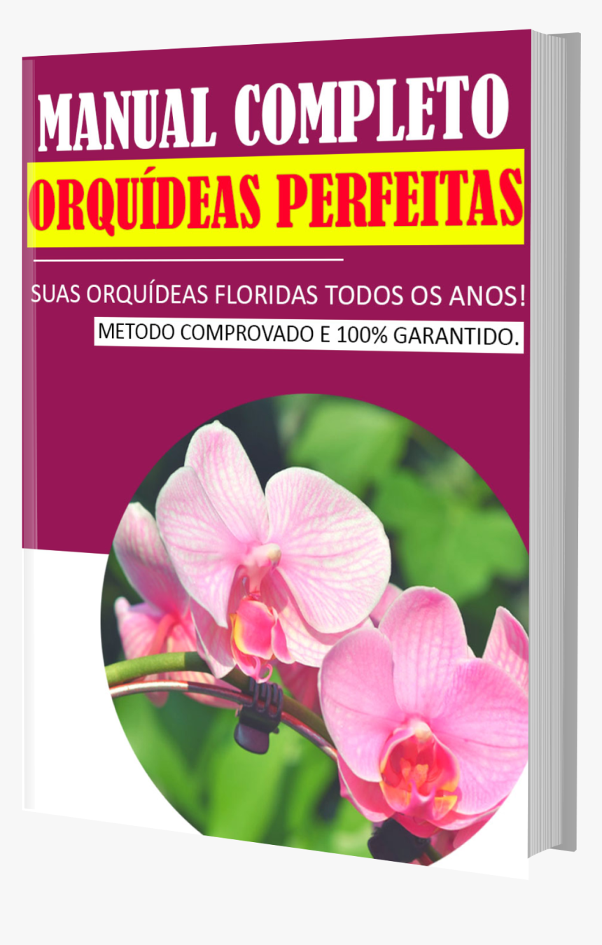 Fleurs Orchidéé, HD Png Download