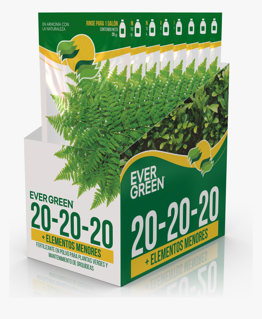 Grass, HD Png Download