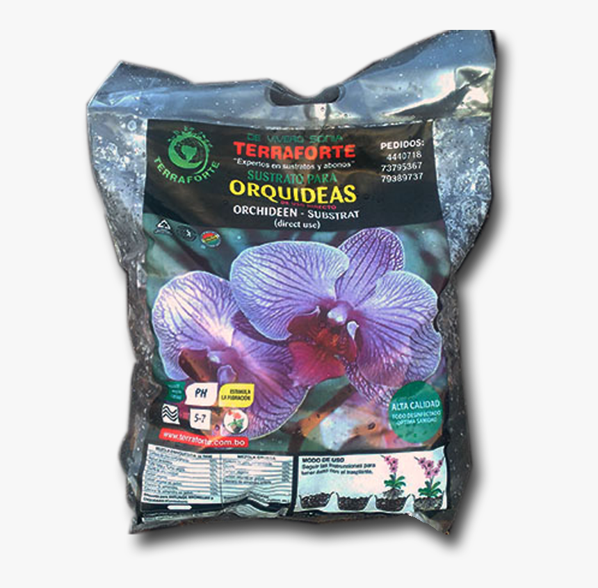 Moth Orchid, HD Png Download