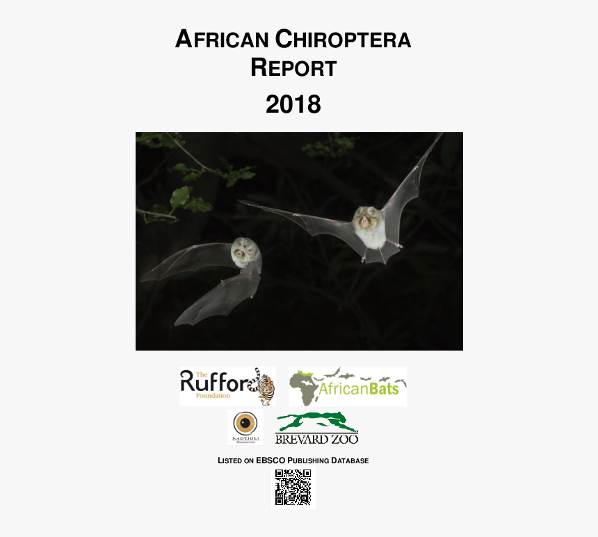 Bald Eagle, HD Png Download