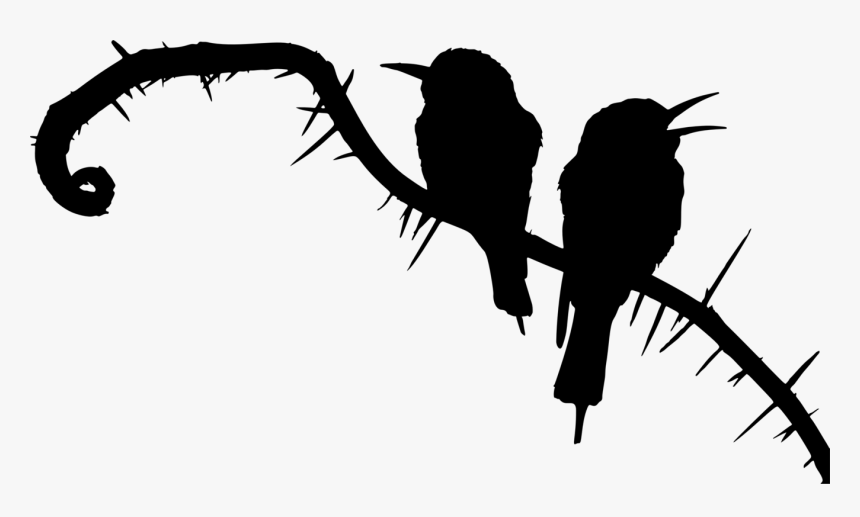 Photography - Bee Eater Bird Silhouette, HD Png Download