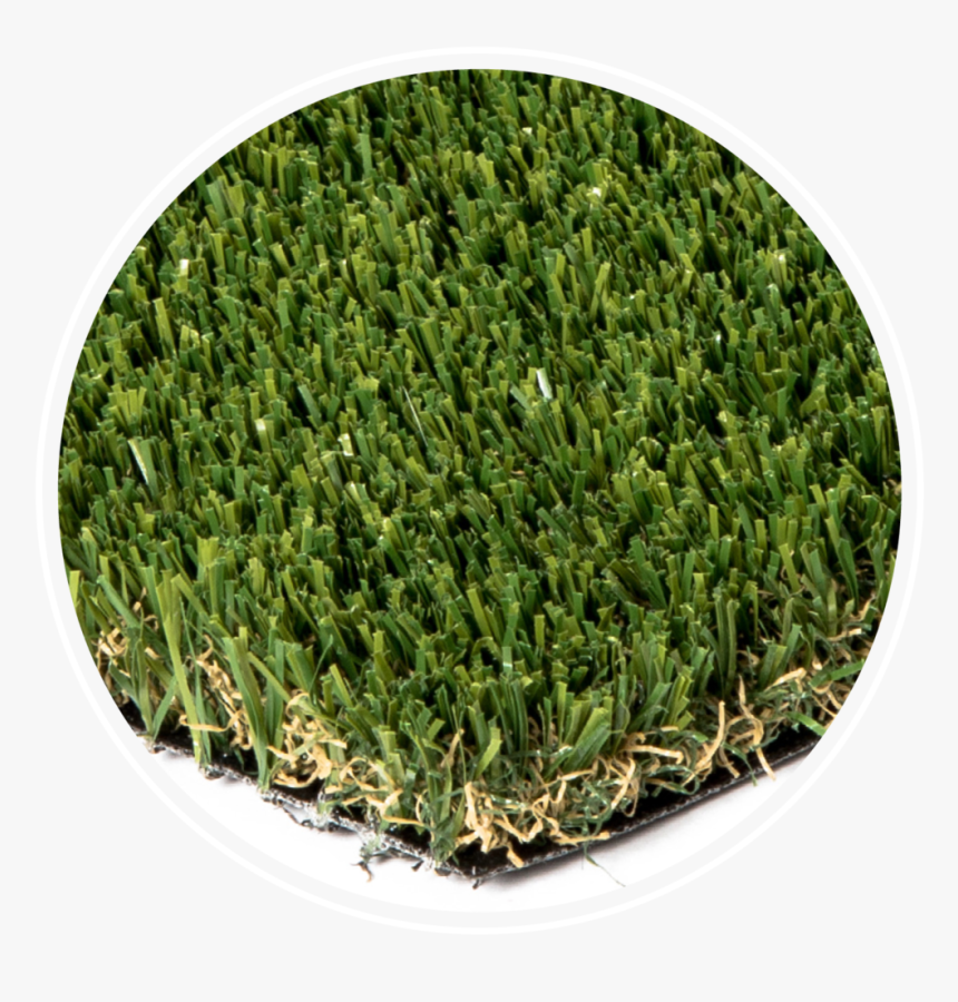 Rymar Pet Pro / Fringe - Rymar51, HD Png Download