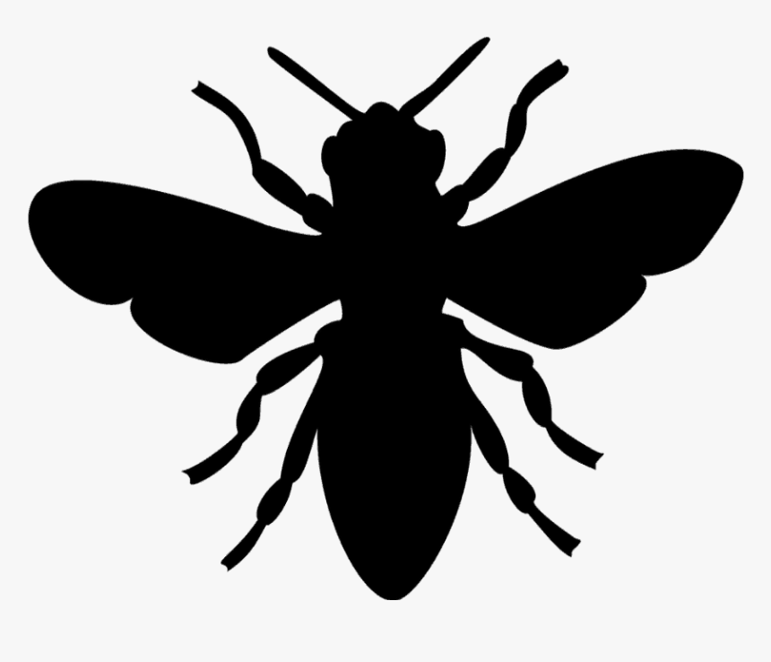 Bee Image Black And White, HD Png Download