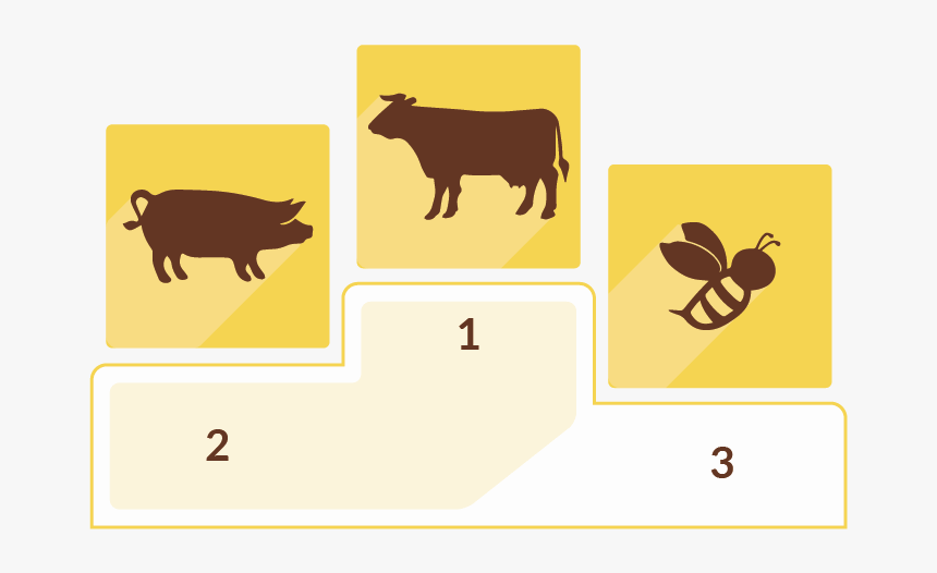 Dairy Cow, HD Png Download
