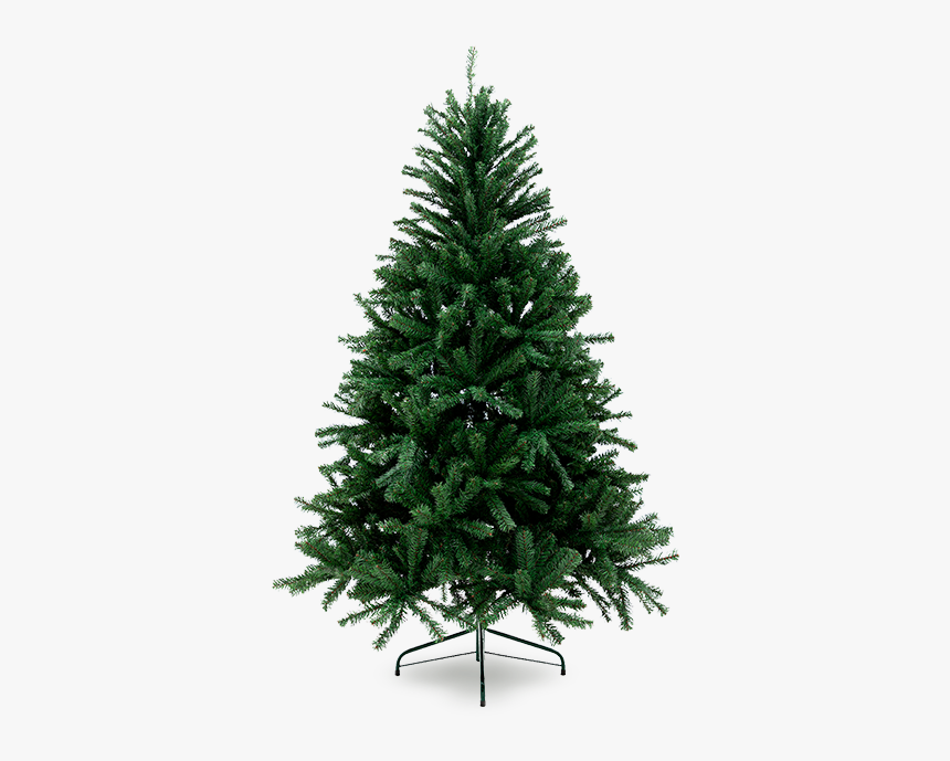 4 Ft Fraser Fir, HD Png Download