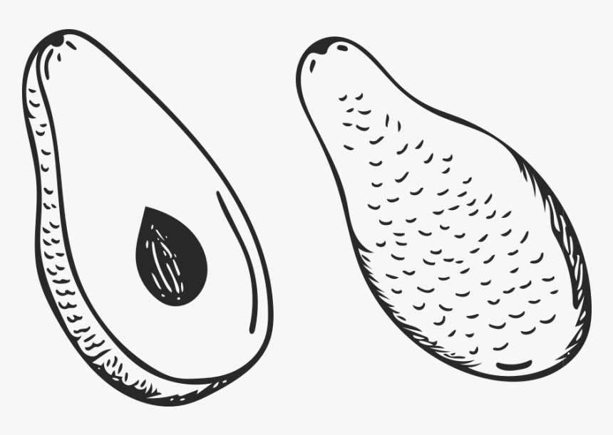 Clip Art Clip Art Fruit Hand - มะละกอ การ์ตูน ขาว ดำ, HD Png Download