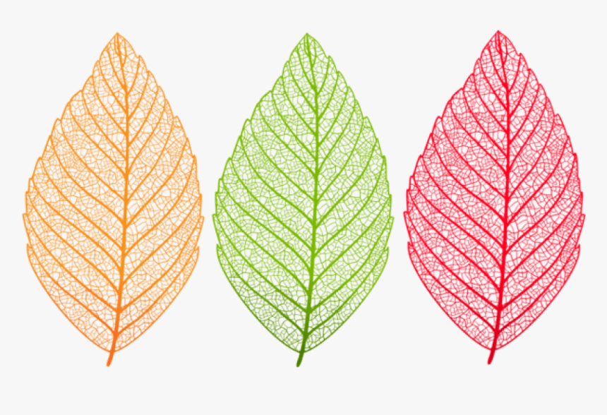 Download Transparent Leaves Set Clipart Png Photo - Transparent Leaf Clipart Png, Png Download