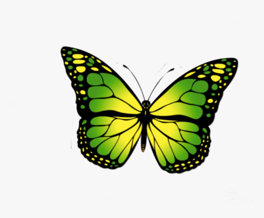 Monarch Butterfly Clipart, HD Png Download