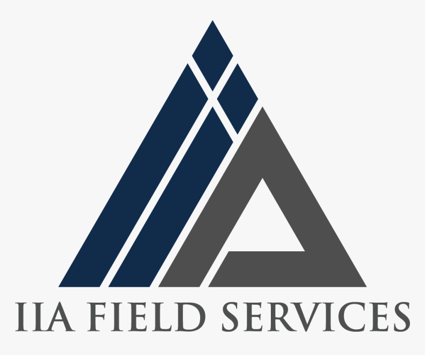 Iia Fs Logo Color - Industrial Inspection And Analysis, HD Png Download