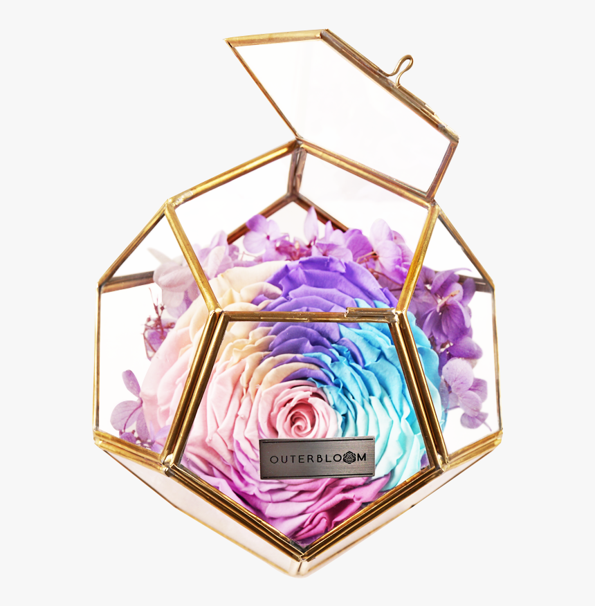 Transparent Pastel Rainbow Png - Floral Design, Png Download