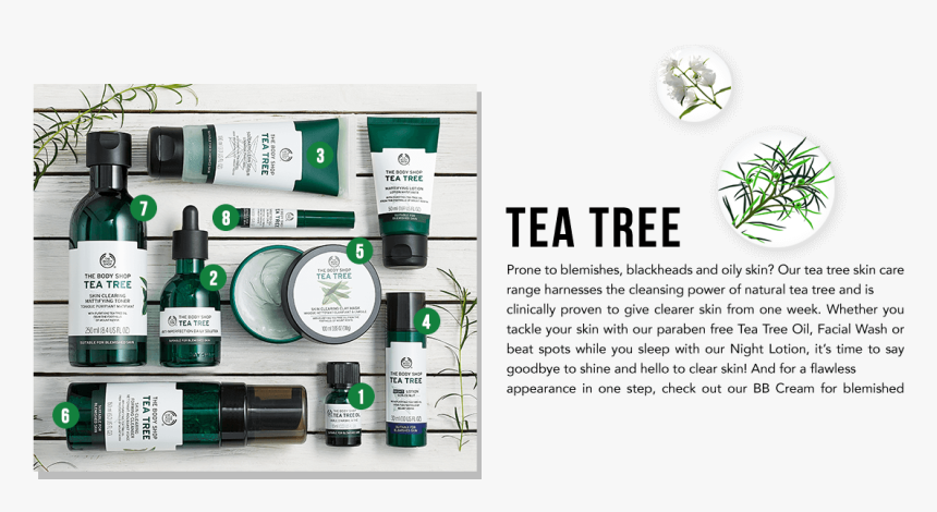 Transparent Tea Tree Png - Body Shop Tea Tree Oil Line, Png Download