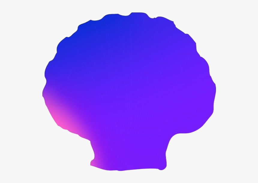 Transparent Scallop Shell Art, Scallop Shell Png Pic, Png Download