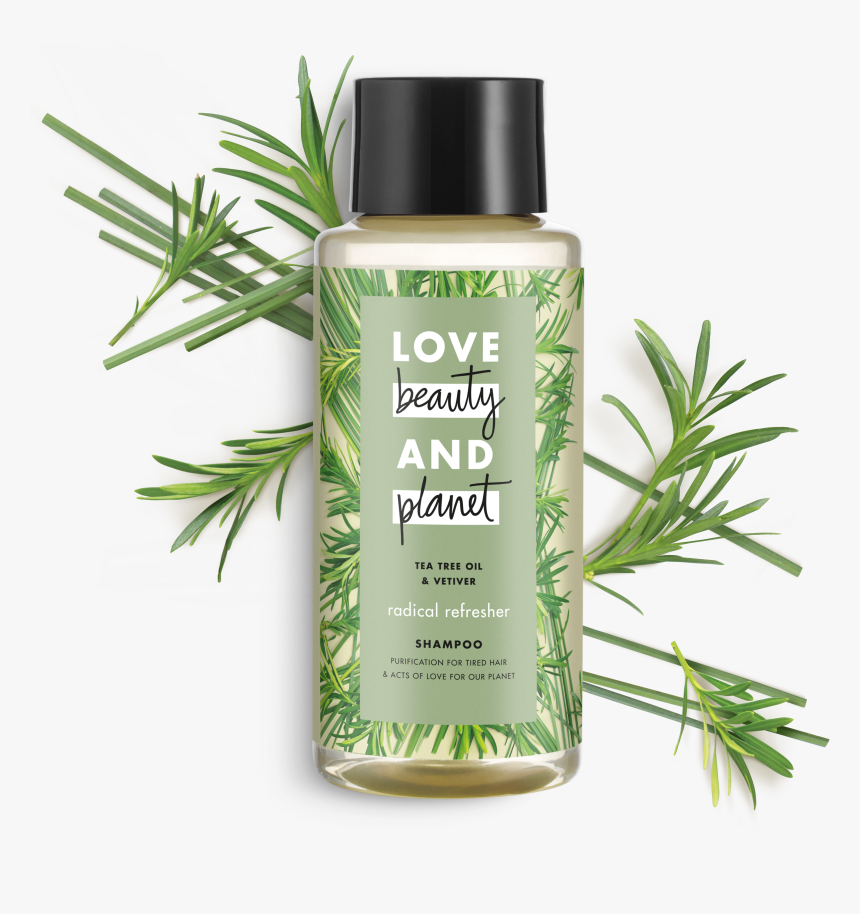 Love Beauty And Planet Tea Tree Oil & Vetiver Shampoo, HD Png Download