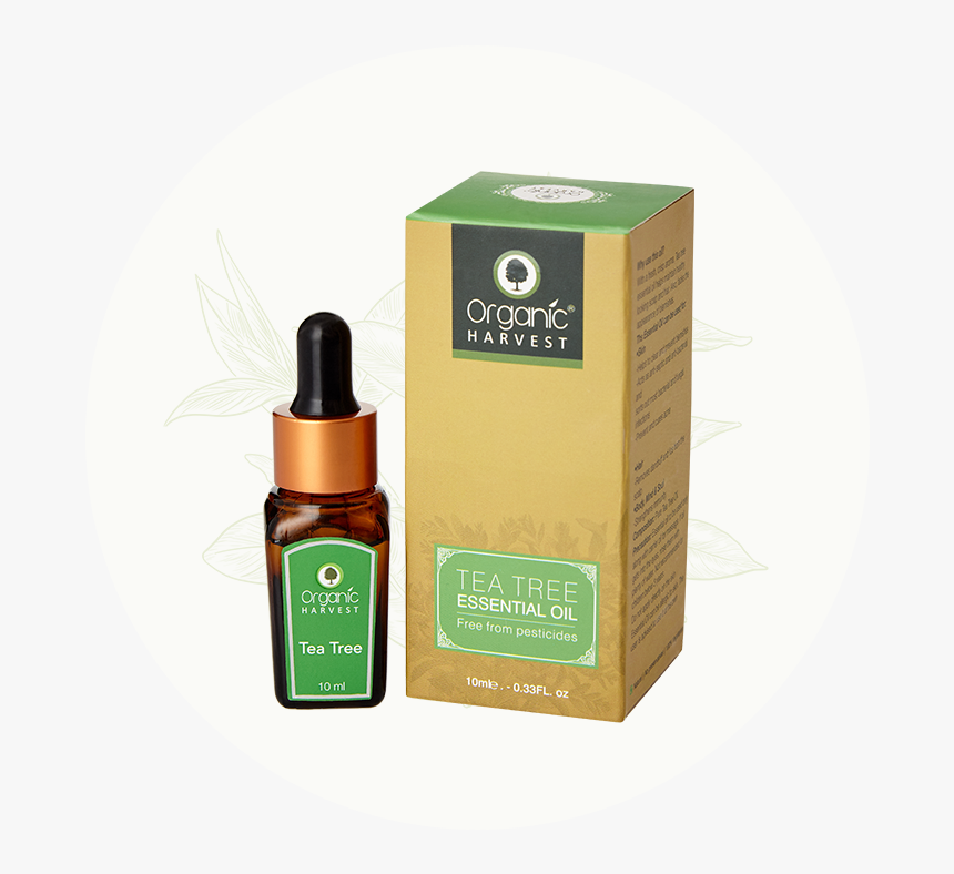 Tea Tree Essential Oil, HD Png Download
