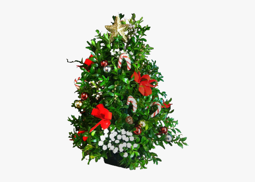 Christmas Tree, HD Png Download