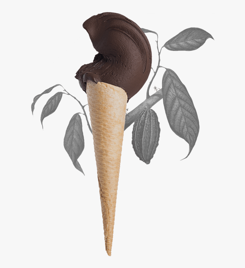 Cucurucho Helado De Chocolate - Theobroma Cacao, HD Png Download