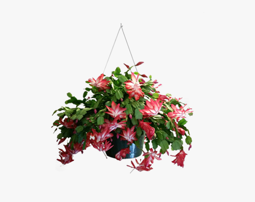 Funeral Flower Arrangements Png, Transparent Png