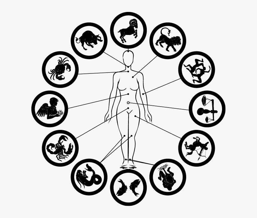 Illustration, HD Png Download