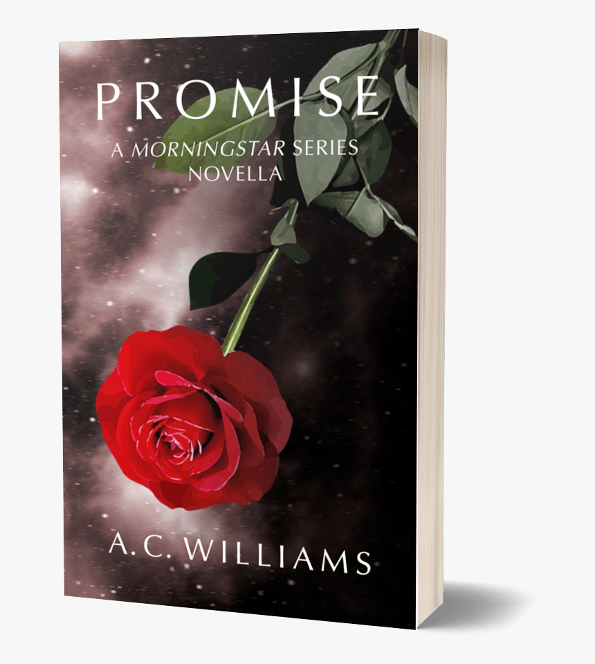 Promise Cover Book Soft - Garden Roses, HD Png Download