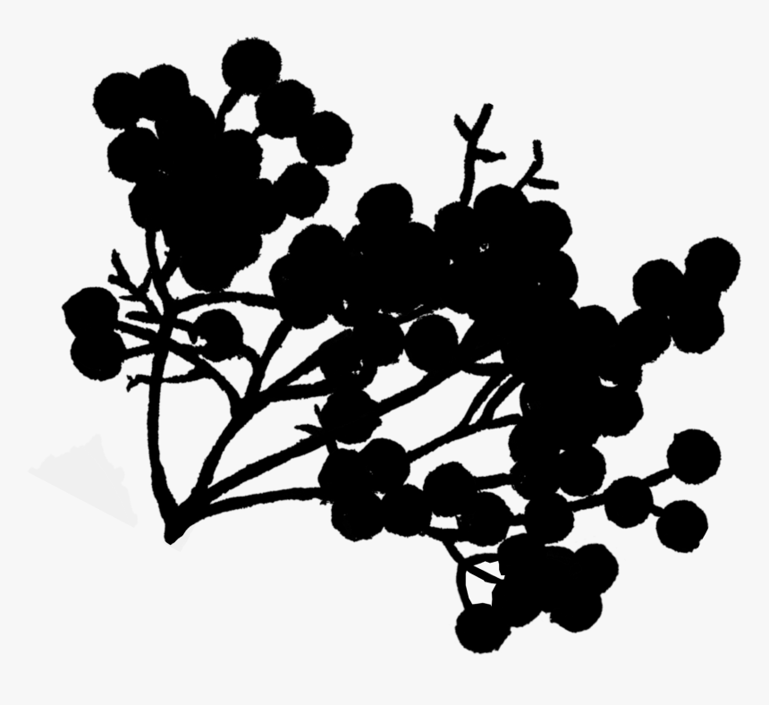 Grape Desktop Wallpaper Pattern Clip Art Silhouette - Silhouette, HD Png Download