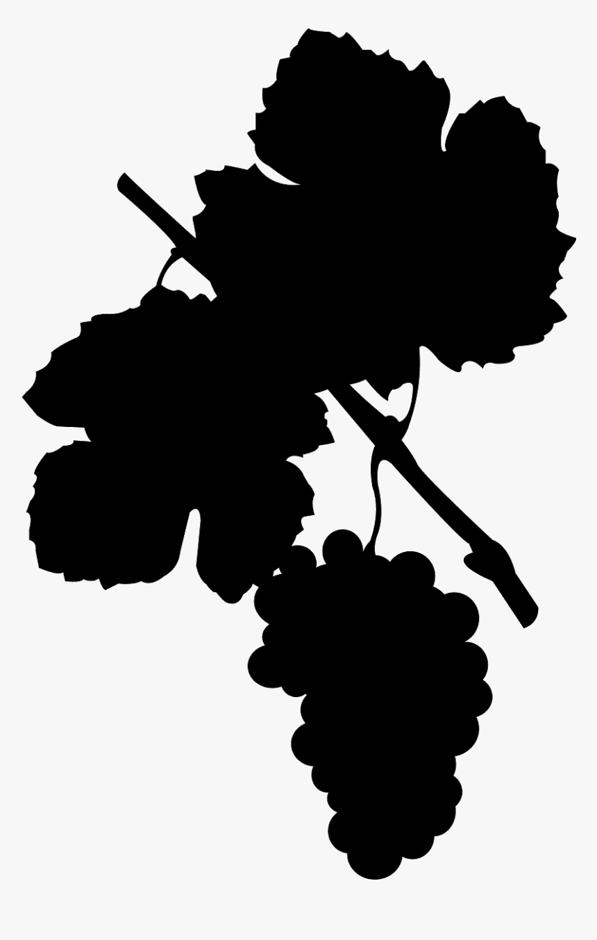 Silhouette Weinrebe, HD Png Download