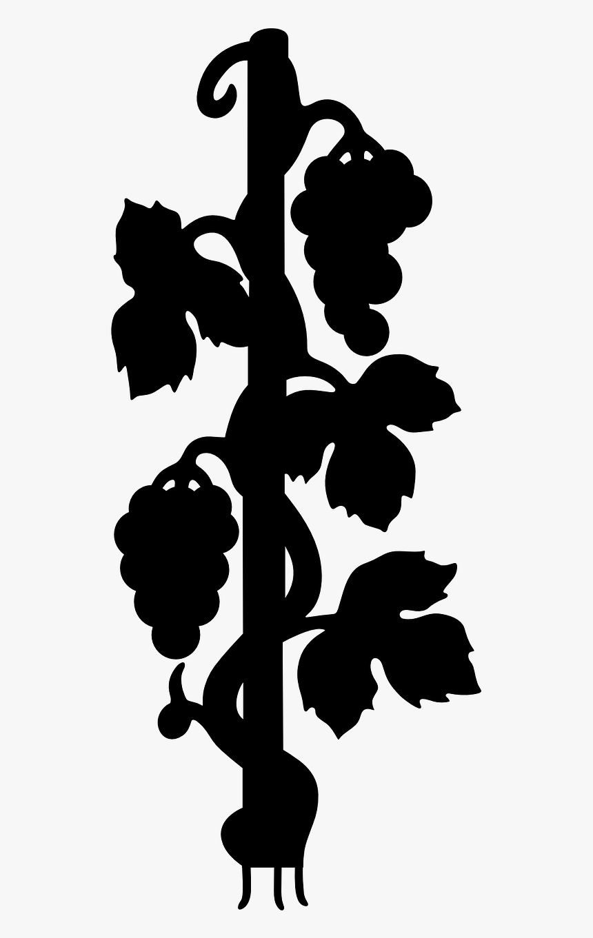 Black Silhouette Wild Free Photo - Types Of Plants For Grade 1, HD Png Download