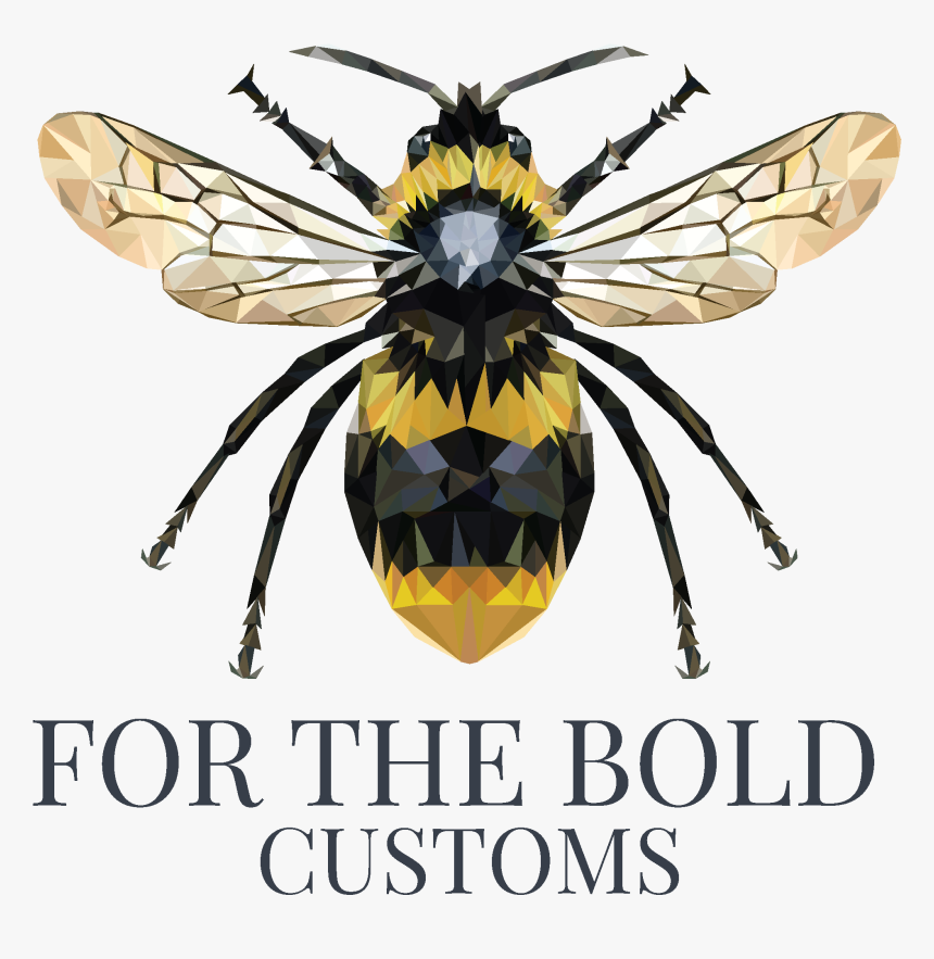 For The Bold Customs - Hornet, HD Png Download