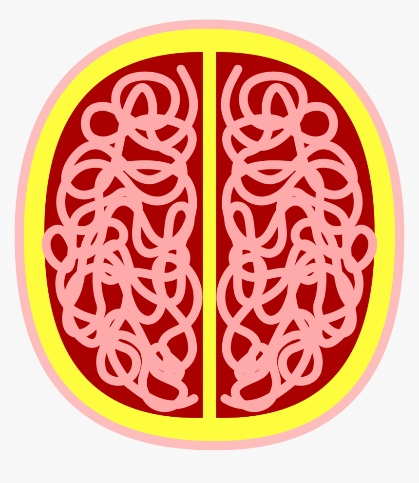 Circle, HD Png Download