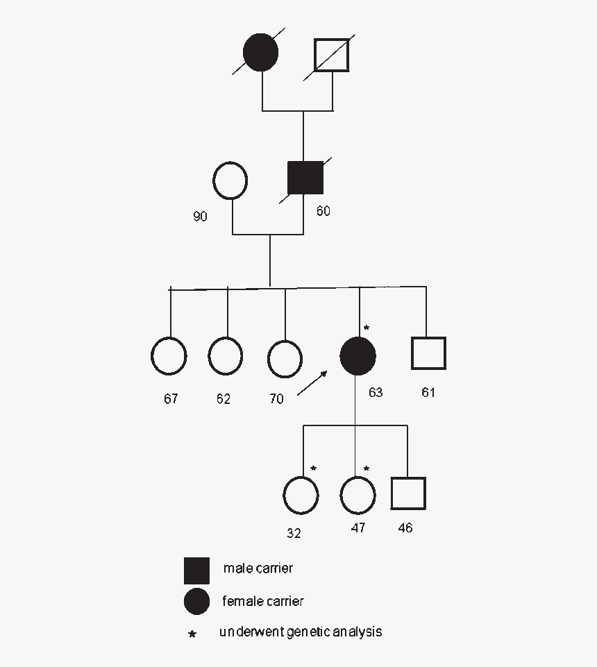 Slashes Indicate Dead Individuals - Dead Male On Pedigree, HD Png Download
