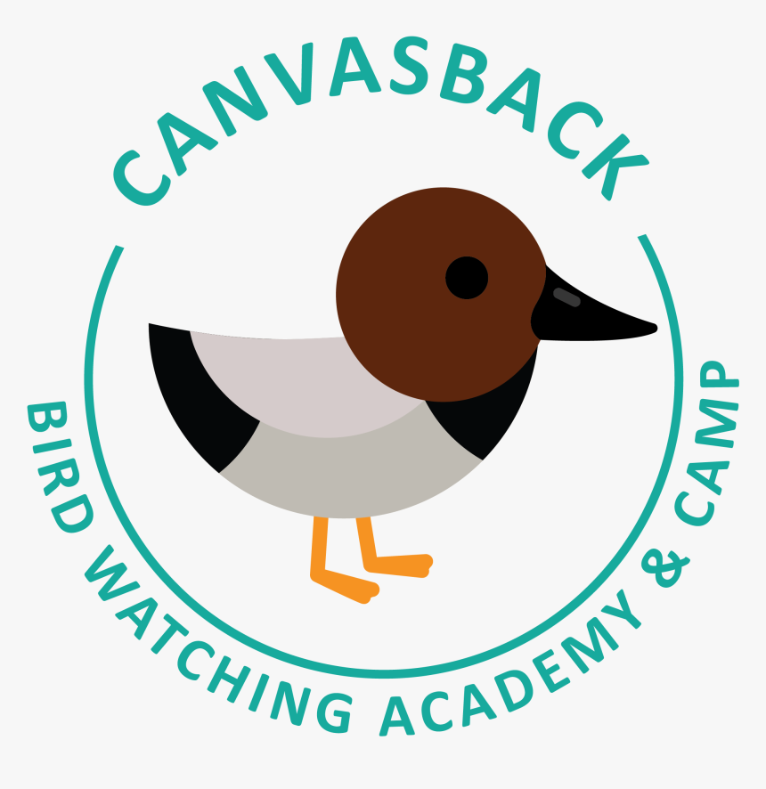 Canvasback Picture - Oil & Gas Uk, HD Png Download