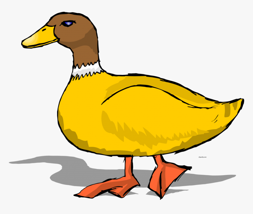 Duck Clipart, HD Png Download