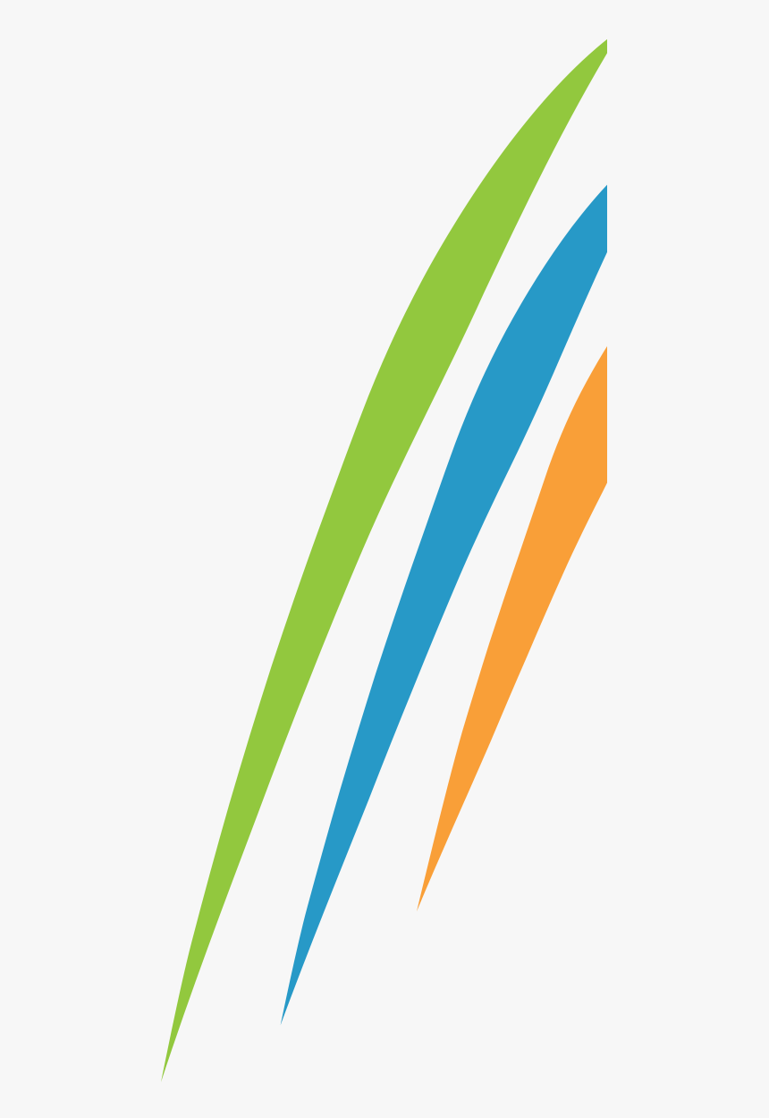 Orange, HD Png Download