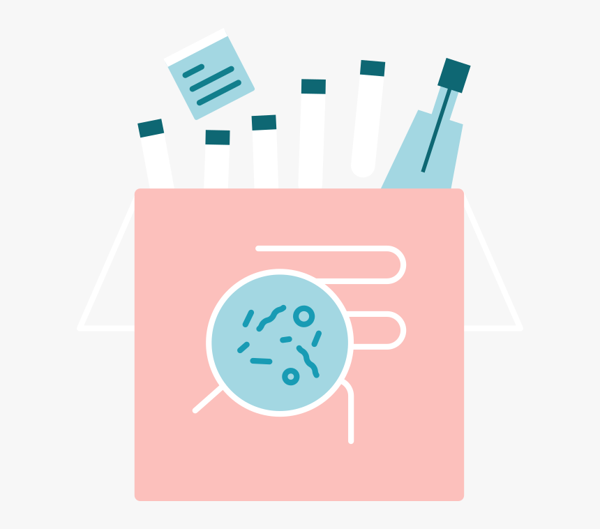 Circle, HD Png Download