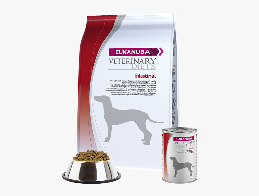 eukanuba intestinal