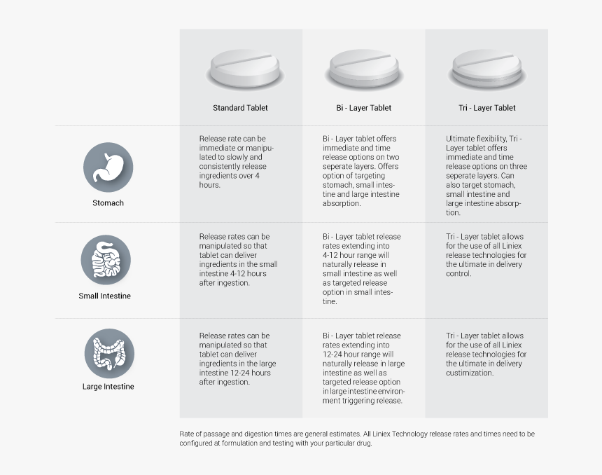 Circle, HD Png Download